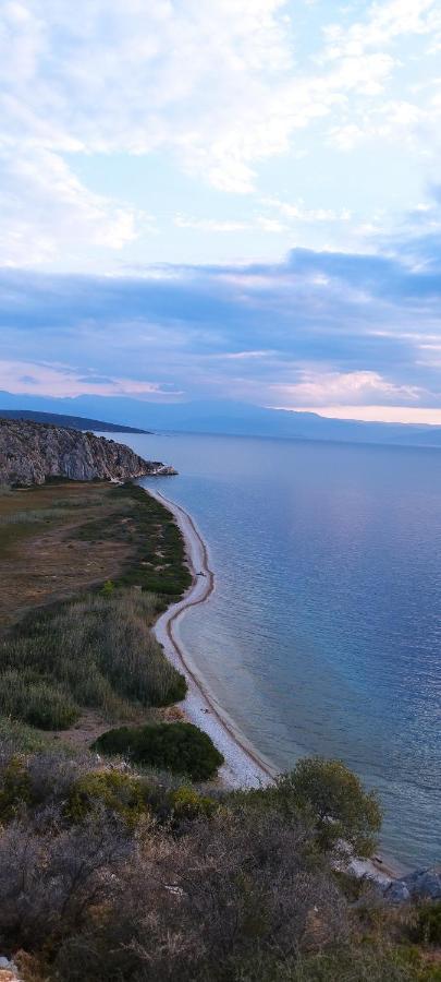 Vice Versa Elegant Studio 1 Nafplio Bagian luar foto